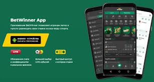 Comprehensive Guide to Downloading the BetWinner Mobile App -314079403 Comprehensive Guide to Downloading the BetWinner Mobile App -314079403